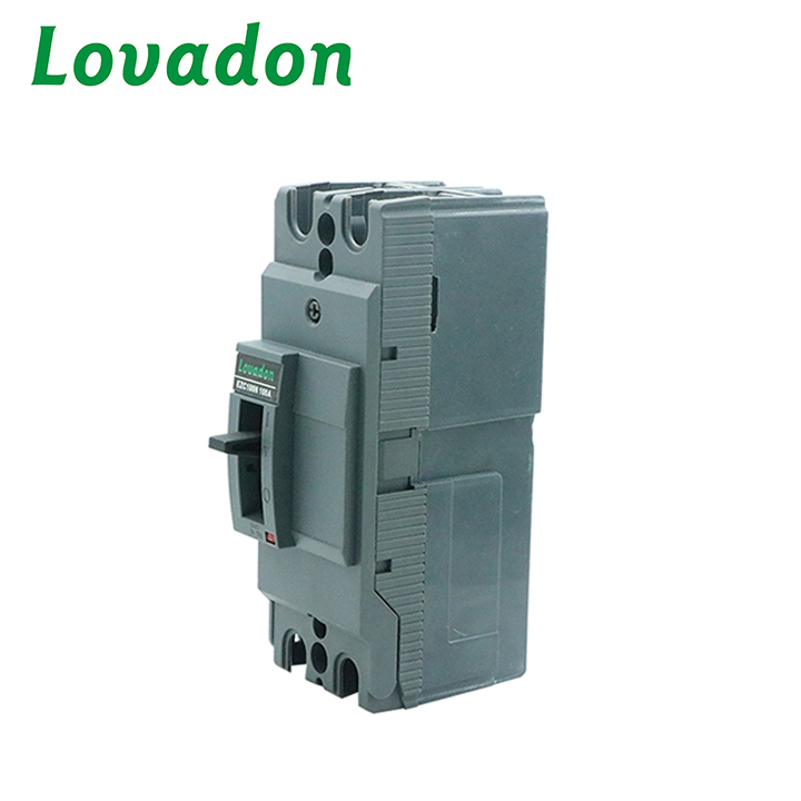 EZC100N 2P Professional Factory-Made 100A 2P Moulded Case Circuit Breaker for Electrical Circuit Protection