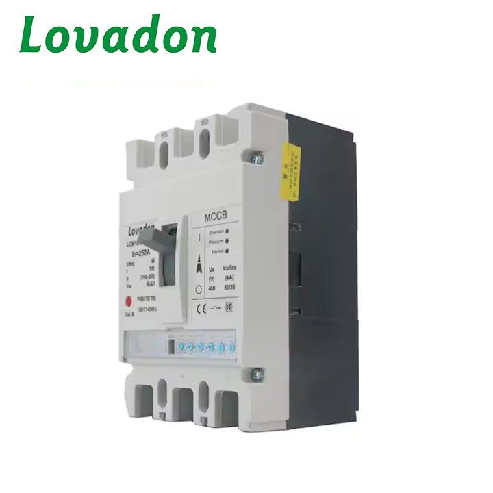LCM1E-250 3P Factory Circuit Breaker High Quality Moulded case Circuit Breaker Earth Leakage Type