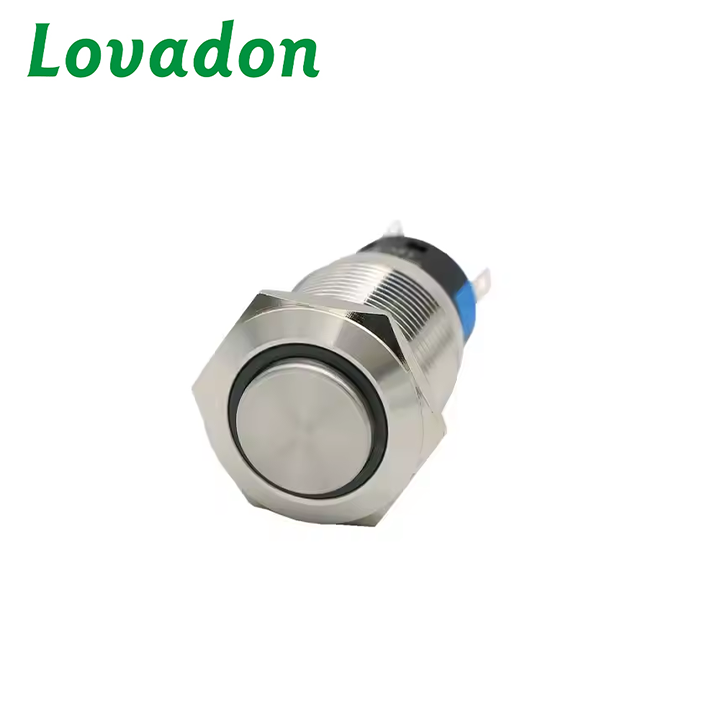 LS19 24 Volt Low Voltage Automotive Metal Push Button Switch Momentary Operation