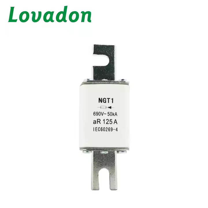NGT1-AR-125A H Type High Breaking Capacity Fuse Link Low Current Knife Type Fuse Cutout for Power Systems