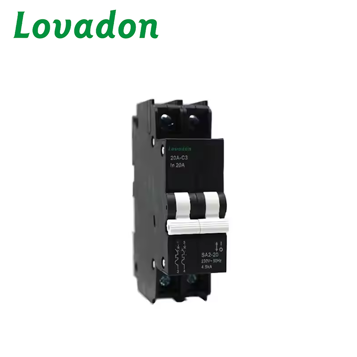 SA2-20 2P Good Quality Sa Series 2p Mcb 4500a Breaking Capacity 50a Miniature Circuit Breaker