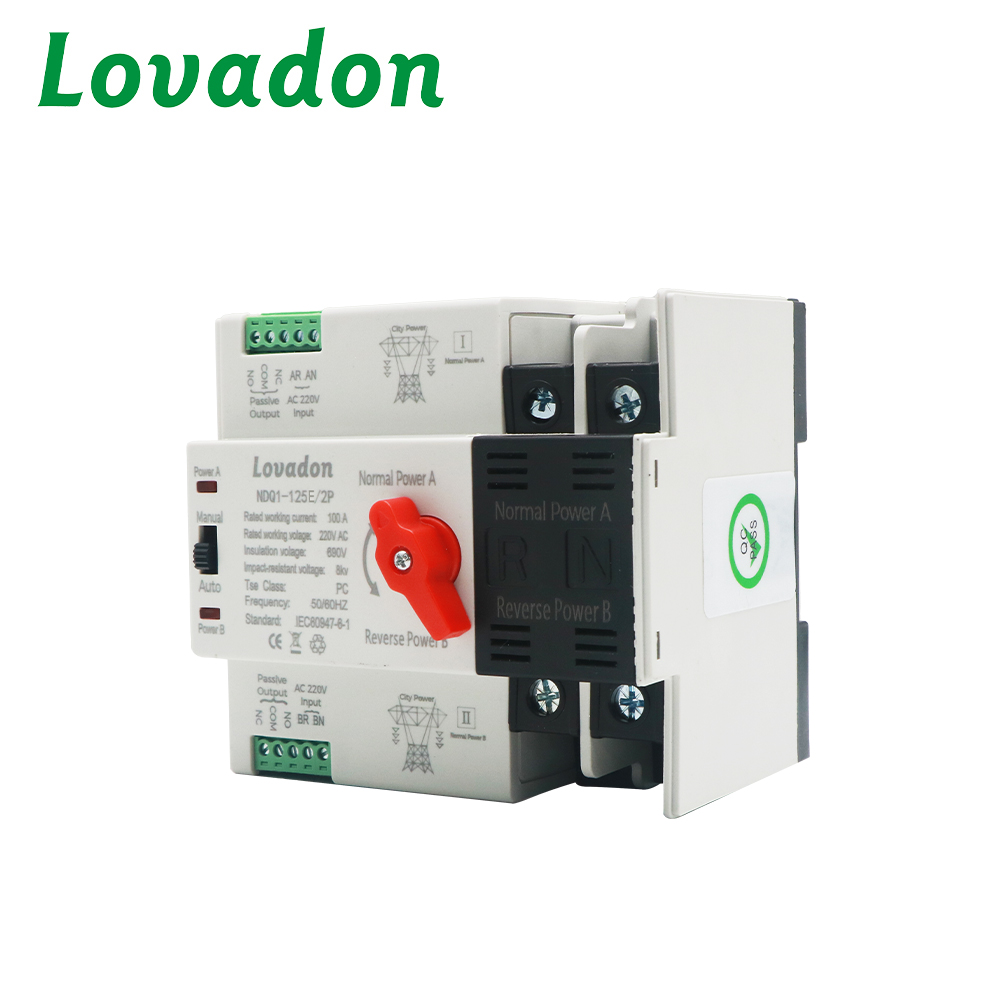 NDQ1-125E 2P 100A 2P Dual Power Automatic and Manual Transfer Switch AC220V PC Class